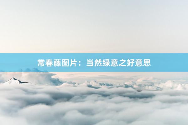 常春藤图片：当然绿意之好意思